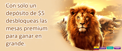 Recarga Diaria Explosiva promotion